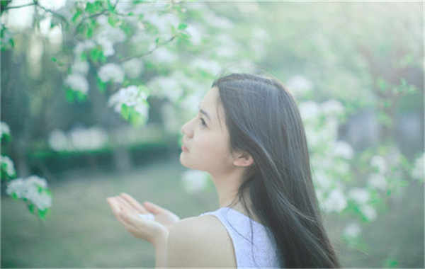 莱西验血查男女几周可以验(验血查男女结果图)